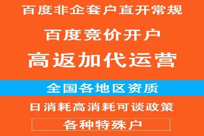 百度竞价广告投放策略案例